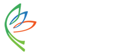 Tree Capital Group